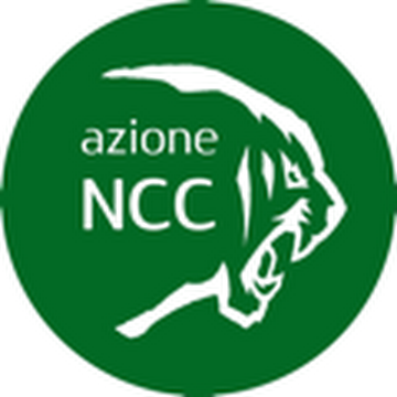 Autovelox, Azione Ncc: 